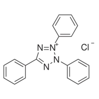 2,3,5-Triphenyltetrazolium Chloride (Tetrazolium Red) TPTZ