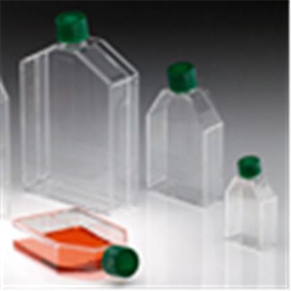 CytoOne Tissue Culture Flask (Hücre Kültürüne Uygun)