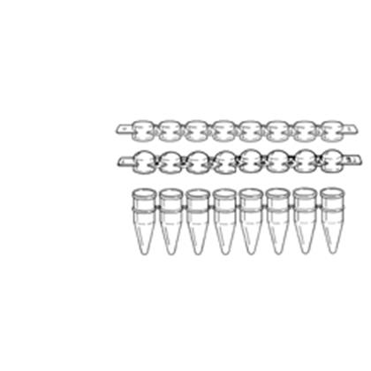 0.2ml 8 Strip Sertifikalı PCR Tüp Kapakları