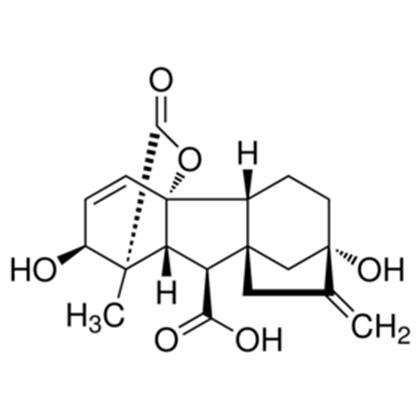 GIBBERELLIC ACID