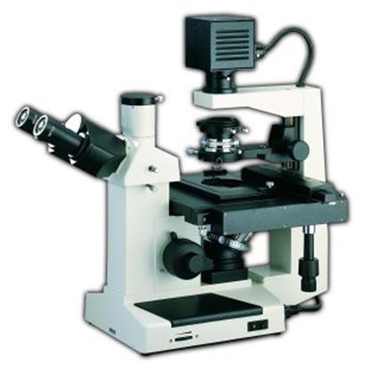 Biological Inverted Microscopes