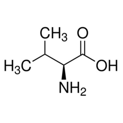 L-VALINE