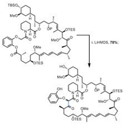 RAPAMYCIN