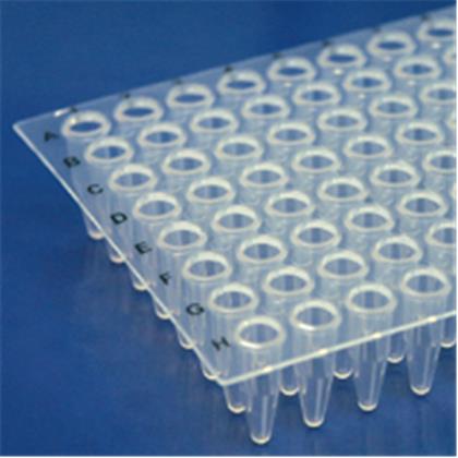 Certified Thin Wall PCR Plates