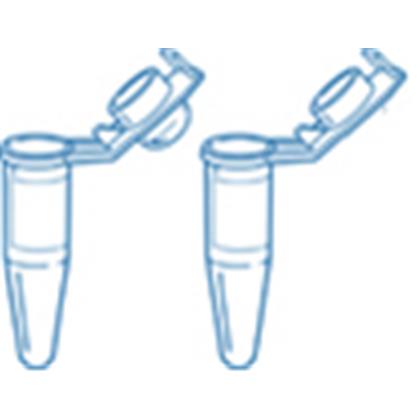 Certified 0.2ml Single StarPCR® Tube w. Attached 'Shielded' Flat Cap