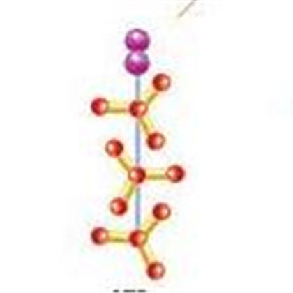 T4 POLYNUCLEOTIDE KINASE 