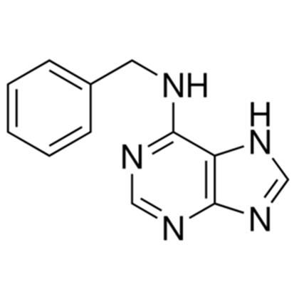 6-BENZYLAMINOPURINE