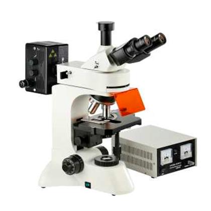 EpiFluorescence Microscope