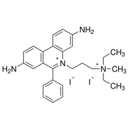 PROPIDIUM IODIDE 