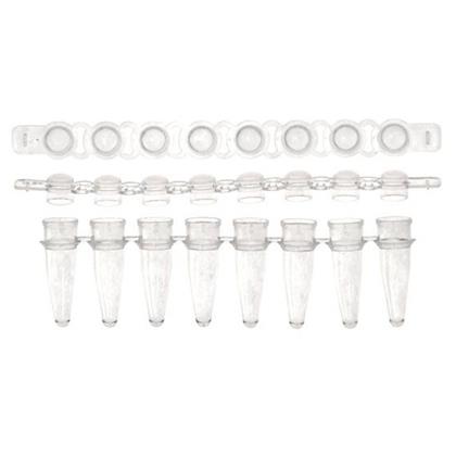 0.2ml PCR 8-Strip Tube & Separate Domed Cap