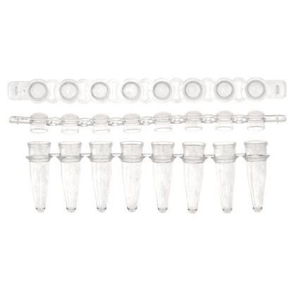 0.2ml PCR 8-Strip Tube & Separate Domed Cap