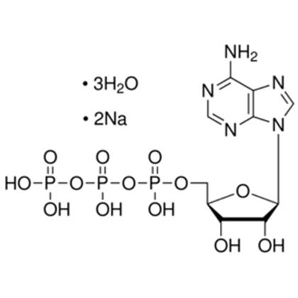 ADENOSINE-5-TRIPHOSPHATE, Disodium Trihydrate  