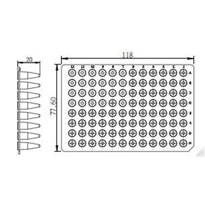 0.2ml Eteksiz 96-well PCR plate 