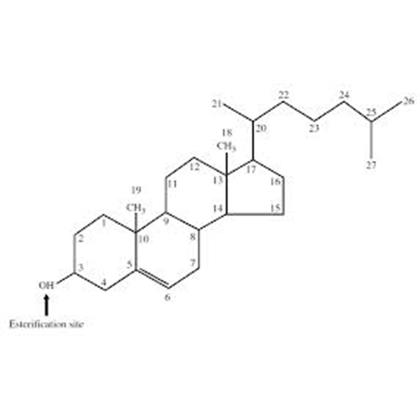 CHOLESTEROL Purity: min. 99.0%