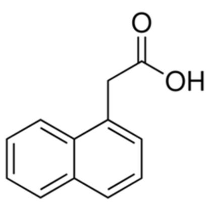 1-NAPHTHALENEACETIC ACID