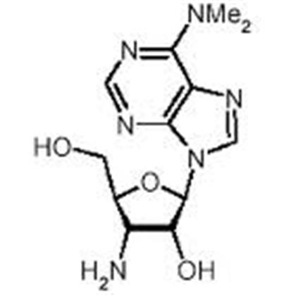 PUROMYCIN, AMINONUCLEOSIDE  