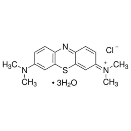 METHYLENE BLUE STAIN