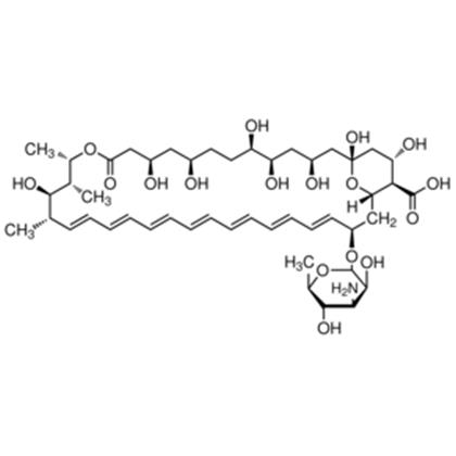 AMPHOTERICIN B, Solubilized, gama-Irradiated