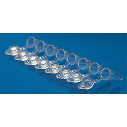 0.1 ml 8-Strip Non-Flex PCR Tüpü, Low Profile, Tek Tek Kapaklı (Xtra-Clear) 