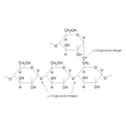 GLYCOGEN, SOLUTION 20mg/ml