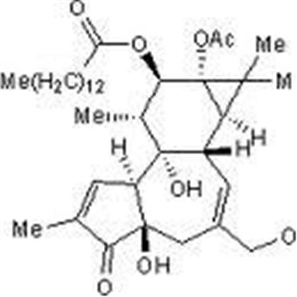 PHORBOL 12-MYRISTATE 13-ACETATE (PMA)  