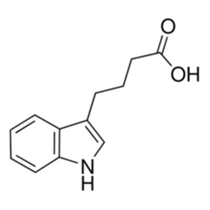 INDOLE-3-BUTYRIC ACID (IBA) (Indole-3-butyric acid)