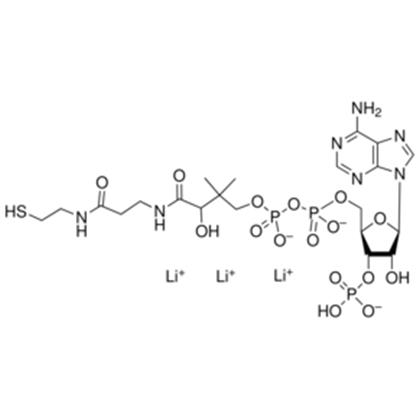 COENZYME A