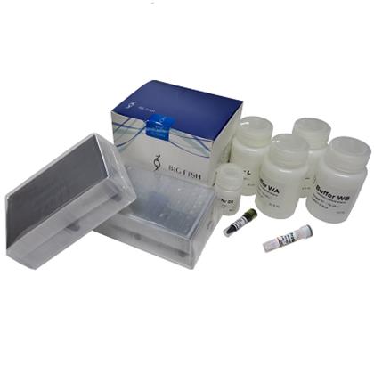 MagaPure Blood Genomic DNA Purification Kit 40T/box