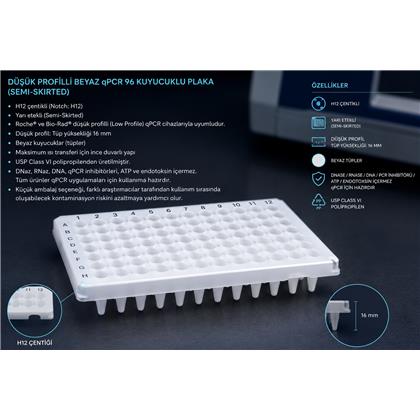 0.1ml Low Profile qPCR 96 Well Plate (Semi Skirted) (Bio-Rad CFX96 / CFX96 Opus 96)