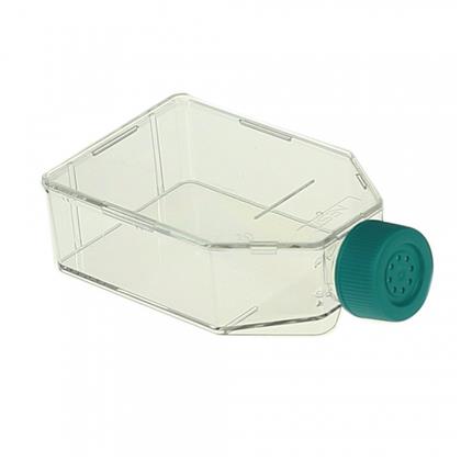  25 cm2 Cell Culture Flask, Vent Cap, TC, Sterile, 10/pk  (Medium Volume 5-7.5 ml)