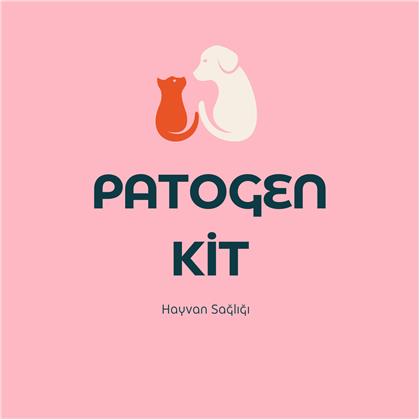 Kedi Gastrointestinal Sistem Paneli